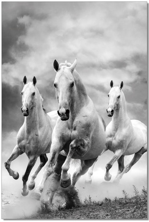 Wall Art Galloping Horses